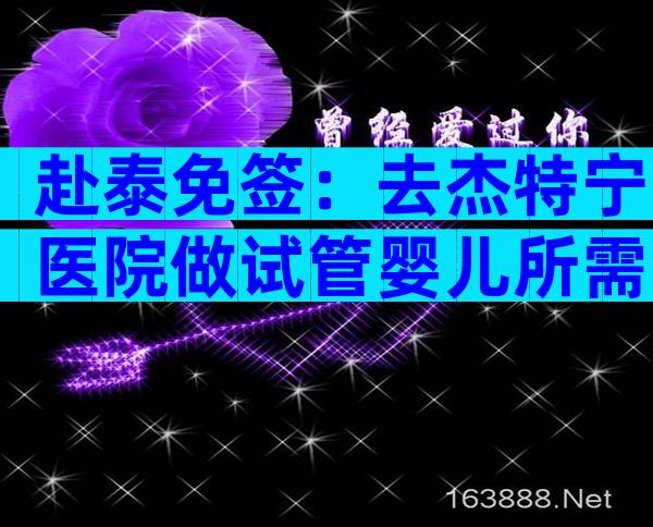 赴泰免签：去杰特宁医院做试管婴儿所需证照 一览